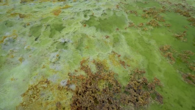 Ethiopia Danakil Depression dallol sulfur hot acidic spring