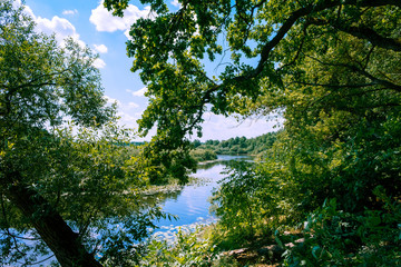 Scenic river Sozh among beautiful green trees on bright summer day in Belarus