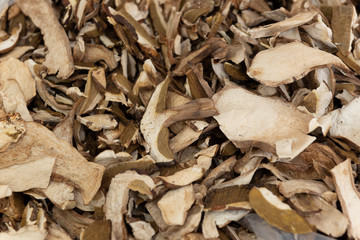 Italian dried Porcini mushrooms,close up