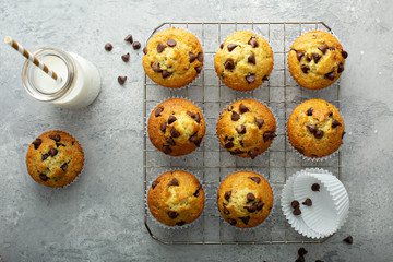 Chocolate chip muffins with milk overhead view on a cooling rack - obrazy, fototapety, plakaty