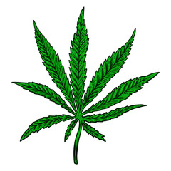 Illustration of cannabis leaf isolated on white background. Design element for poster, banner, t shirt, emblem