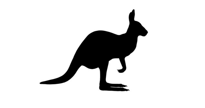 Kangaroo silhouette. Turntable animation.