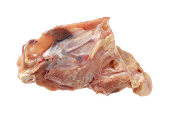 Chicken skeleton Fresh food and white background