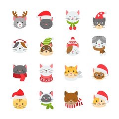 cat winter and Christmas costume icon illustration in flat design.