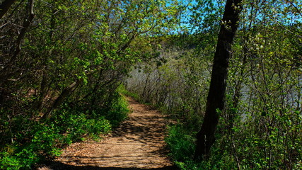 Winding path by the river