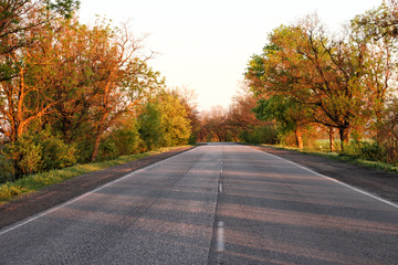 Empty asphalt road in spring morning