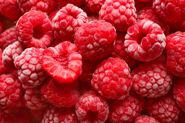 Many sweet ripe raspberry as background