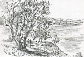 tree on mountain background of river sketch
