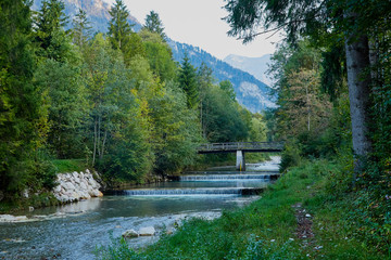 Obraz premium Tree by the river in a summer day and mountain background