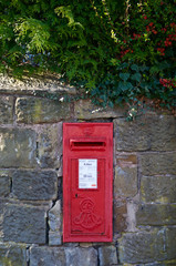 British post box in a stone wall near red holly berries