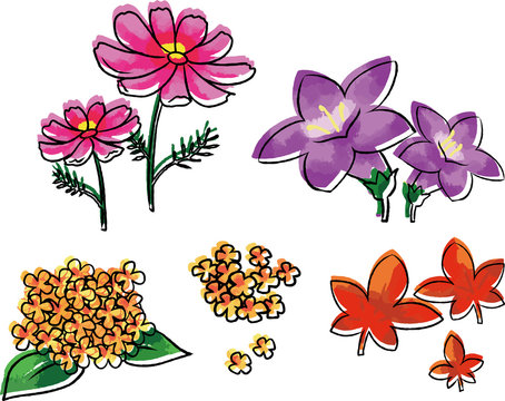 8 311 Best 秋の花 Images Stock Photos Vectors Adobe Stock