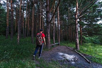 Obraz premium man walking in the woods