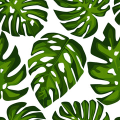 Exotic Tropical monstera leaves seamless pattern. Tropical pattern
