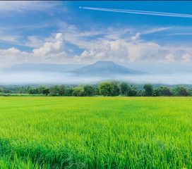 Obraz premium Green paddy rice field with beautiful sky and cloud, Thailand fuji mountain similar to Japan's Fuji mountain in Thailand.