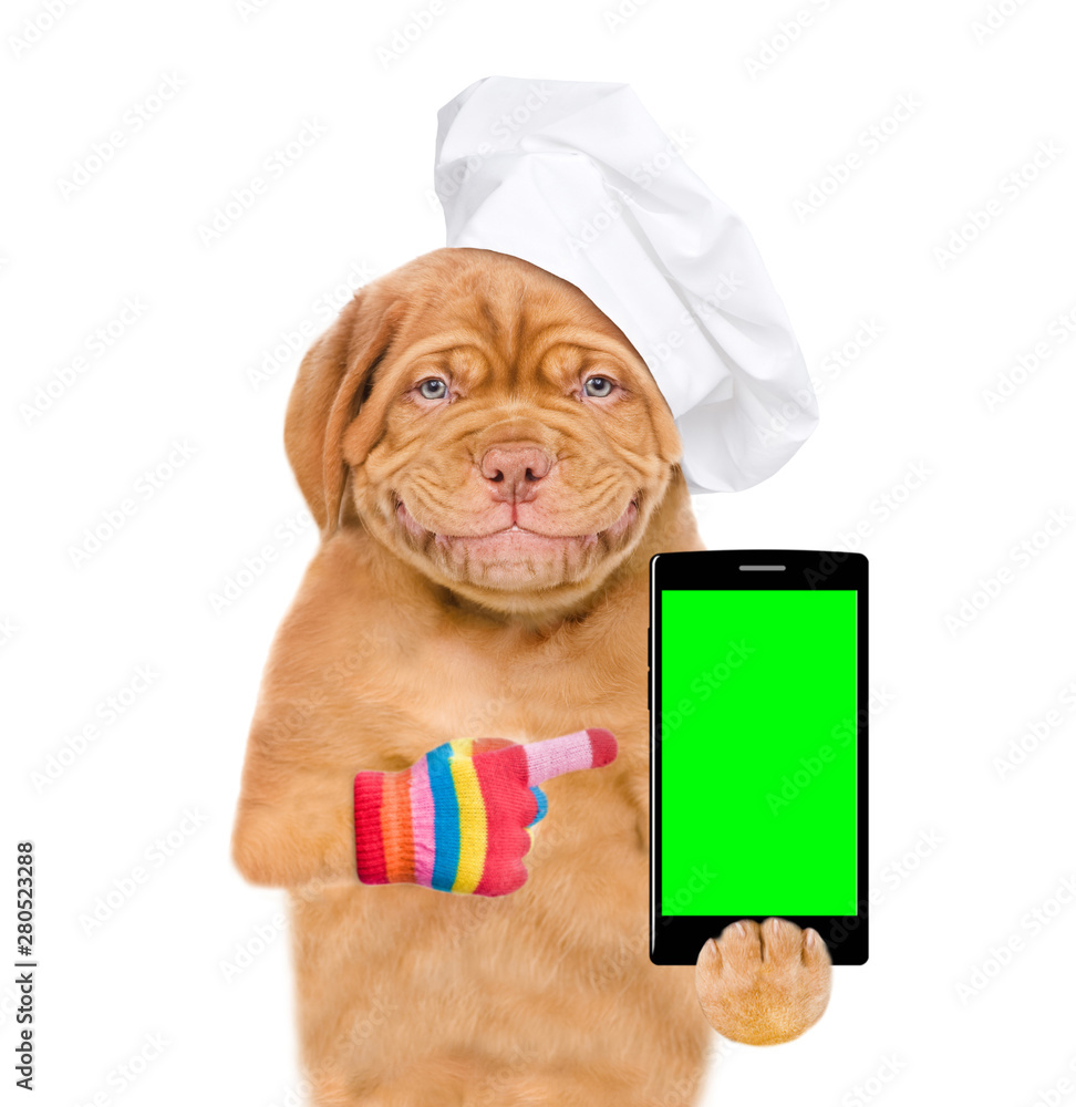 Poster Smiling puppy in chef's hat with smartphone. isolated on white background