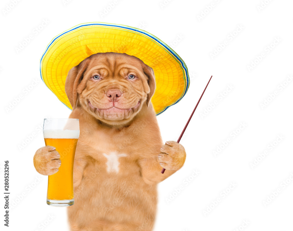 Poster Smiling puppy in summer hat holds glass of light beer and pointing away on empty space. isolated on white background