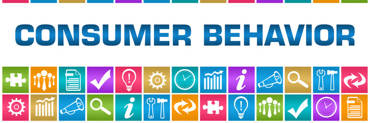 Consumer Behavior Colorful Box Grid Business Symbols 