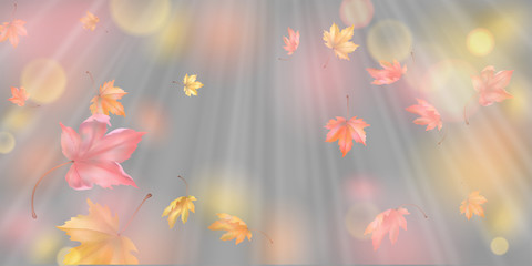 Fototapeta na wymiar Falling Autumn Leaves