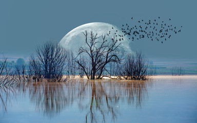 A silhouette of birds with lone dead tree and full moon 
