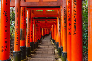 beautiful walkway of Torii gates Fushimi Inari Taisha Shrine in Kyoto, Japan