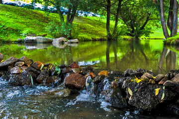 stones in water with reflection of trees