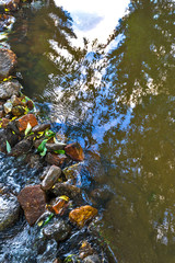 stones in water with reflection of trees