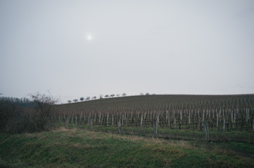 Winter ride to Rajhrad, rather to ride in the fields than in snowy dales of Moravian Karst