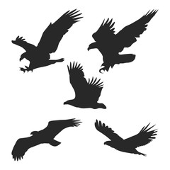 eagle logo