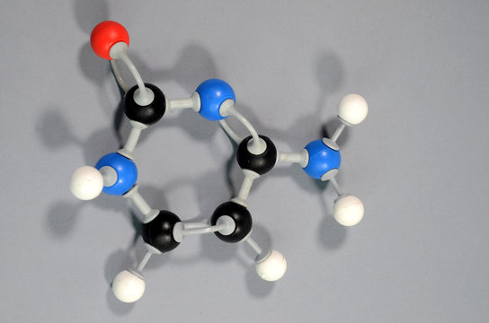 Molecule model of the DNA element Cytosine. Black is Carbon, Red is Oxygen, White is Hydrogen, Blue is Nitrogen