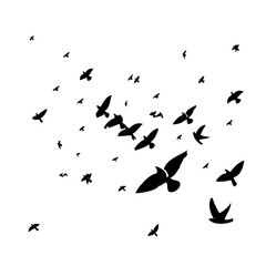 A flock of flying birds. Vector illustration