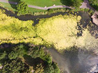 Photo of park with lake and landscape top view, texture for design