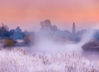 Türaufkleber Hellviolett Die ersten Fröste in den Herbsttagen. Gras und Blumen im Raureif am Flussufer im Nebel am frühen Morgen. Schöne Morgenansicht mit Gras im Raureif.
