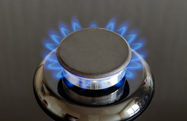 Cropped gas burner
