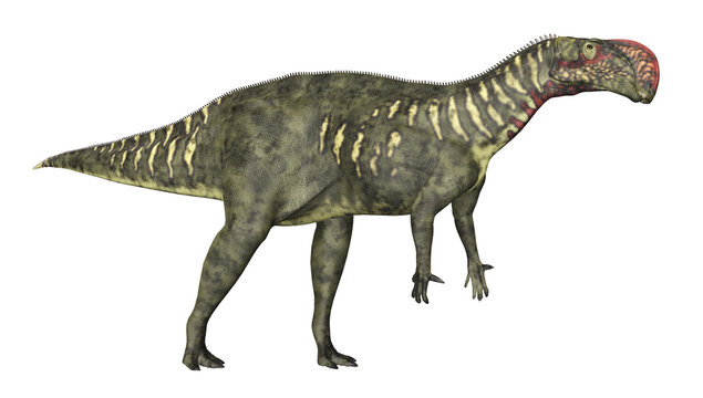 Dinosaurier Altirhinus, Freisteller