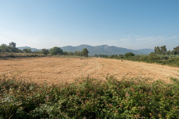 The august road between Sant mateu and Tortosa