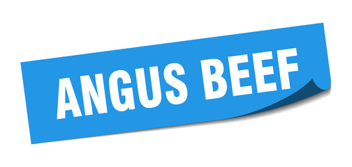 angus beef sticker. angus beef square isolated sign. angus beef