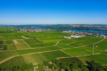 Fototapeta na wymiar Blick von oben auf die Felder und Weinberge rund um Oestrich-Winkel/Deutschland im Rheingau