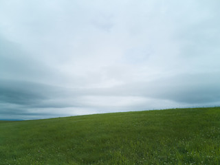 green field and cloudy sky