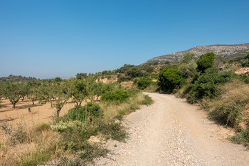 Fototapeta na wymiar The august road between Sant mateu and Tortosa