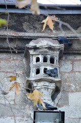 Bird houses in ottoman architecture. Photographs of Eyup Mosque. Birdhouses added to buildings to accommodate birds