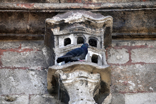 Bird houses in ottoman architecture. Photographs of Eyup Mosque. Birdhouses added to buildings to accommodate birds