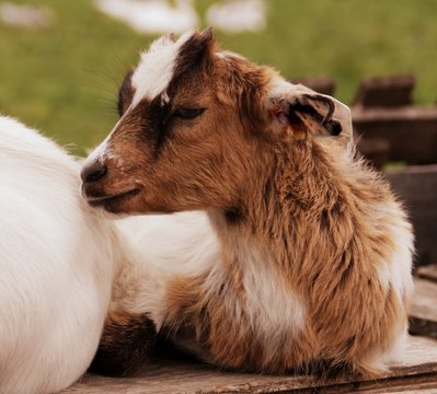 321 Best Palan Images Stock Photos Vectors Adobe Stock