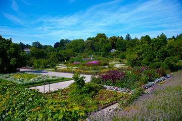 botanical garden in munich, bavaria, blue sky