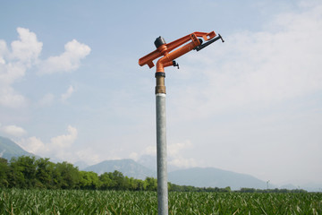 Agricultural water irrigation system on a green corn field on summer