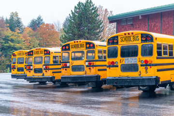 Row of school buses aligned and parked