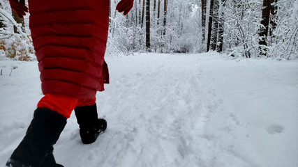 Person walking in forest covered with snow, enjoying nature, winter wonderland
