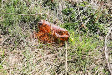 Litter in the nature. Plastic bottles. Pollution of the environment. Ecological disaster.