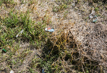 Litter in the nature. Plastic bottles and packets. Pollution of the environment. Ecological disaster.
