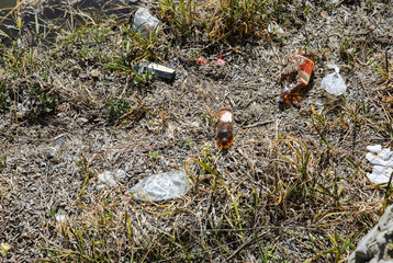 Litter in the nature. Plastic bottles and packets. Pollution of the environment. Ecological disaster.