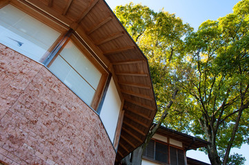 大きな円筒状の建物と樹木
